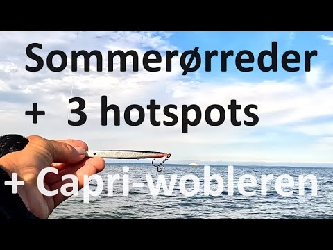 3 hotspots og sommerørreder