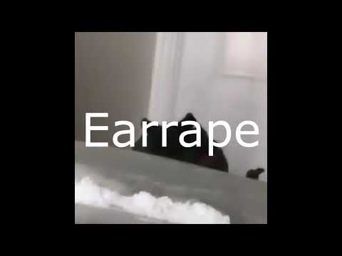 I LOVE COCAINE parody about O Fortuna  Trex EARRAPE!!!