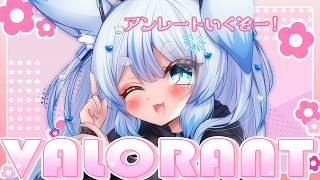 【VALORANT / 参加型】気ままにアンレ🦊🌛【個人VTuber/Charm】
