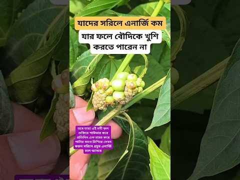 #plantsofindia #plants #shortvideo#gardenplants #garden การตอนมะละกอ โดยไม่ใช้ดิน ไม่ใช้ แกลบ.