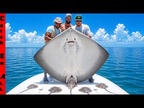 We Found a GIANT STINGRAY Surrounded by SHARKS in Shallow Water!