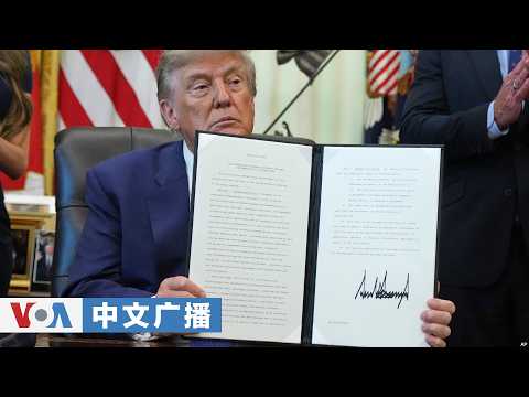 美国之音中文广播（2026年8月11日）