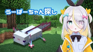 【Minecraft】アプ鯖編　違う色のうーぱーちゃんが欲しい【蜂蜜ぷりん/ぶいぱい】