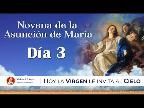 Novena a la Asunción de la Virgen María  Día 3  | Padre Mauricio Galarza