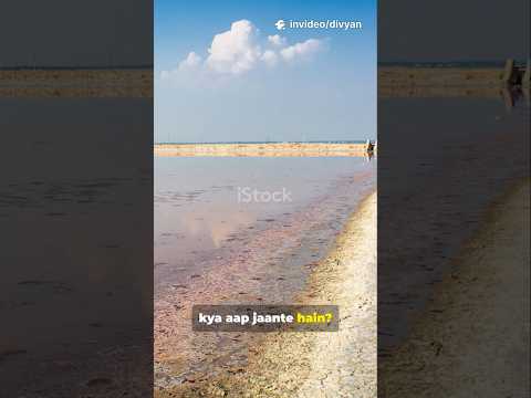 🧂 भारत की सबसे खारी झील – साम्भर झील | Sambhar Lake Facts for Competitive Exams 🌍 #SambharLake