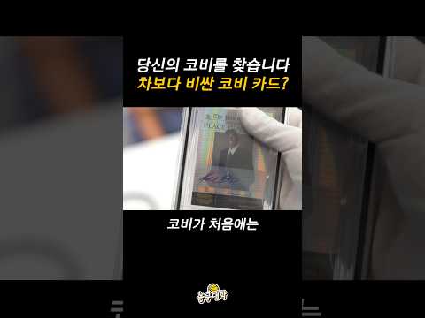 한국에 있는 차보다 비싼 코비 카드ㄷㄷ