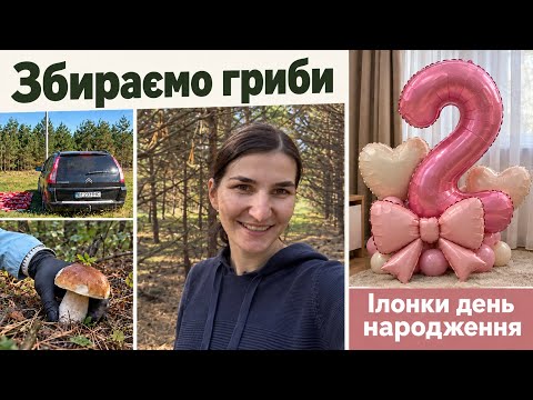 У лісі з дітками || Ілонки день народження