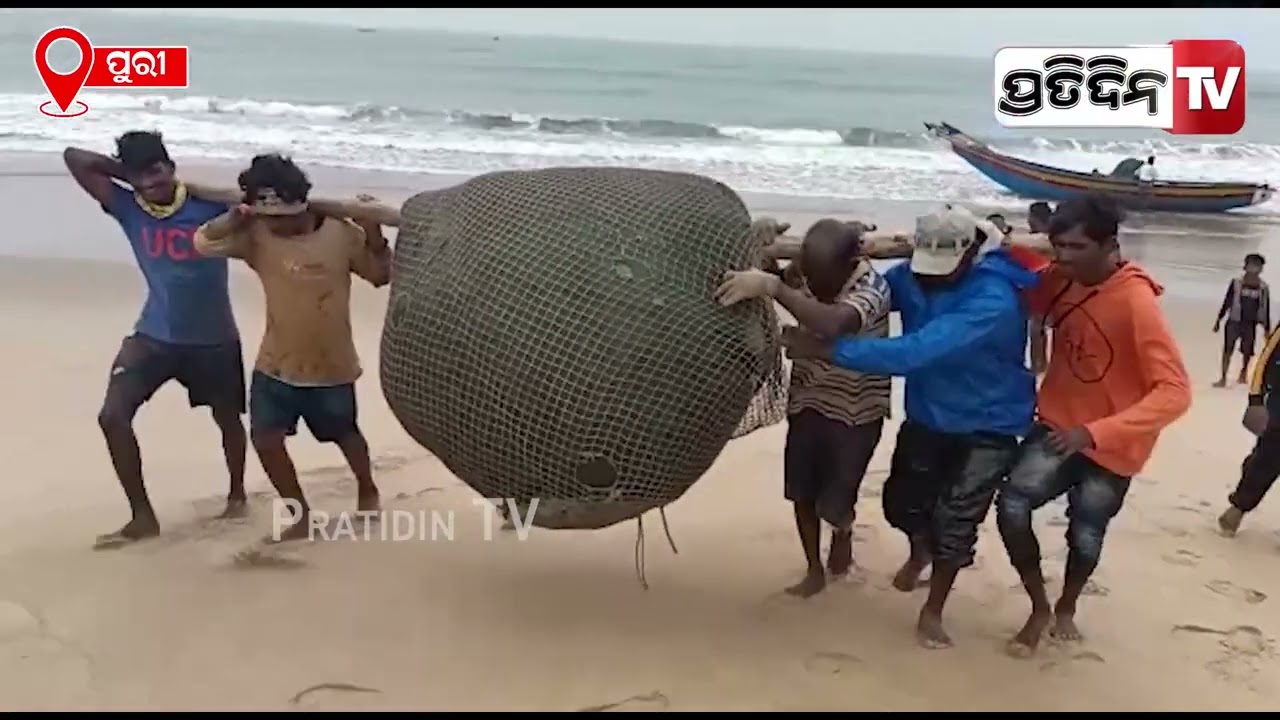 ମାଡ଼ି ଆସୁଛି ଦାନା, ଆସ୍କା ଲାଇଟ୍ ଓ ବୋଟ୍ ସହ ଯୋଦ୍ଧା ତୟାର୍ ! Astaranga, kakatpur cyclone Dana approaching.