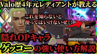 ヴァロラント初心者のための隠れOPキャラ「ゲッコー」の強力な使い方講座！（ディジーを当てるコツ、ウィングマンの使い方、ULTの必須テクニック