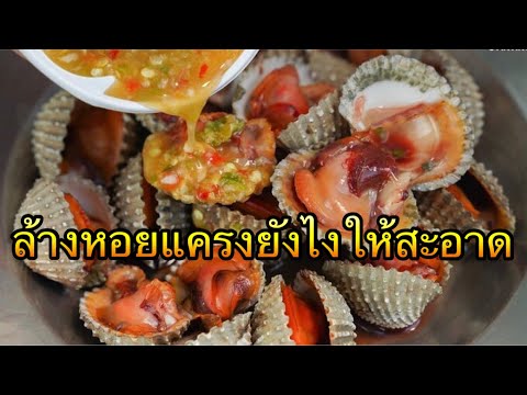 ล้างหอยแครงยังไงให้ขาวสะอาด,ລ້