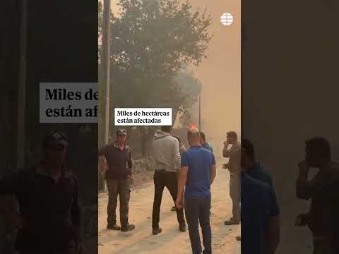 Los incendios que asolan Portugal dejan ya cuatro muertos, 40 heridos y miles de hectáreas calcinada