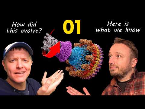 How did bacterial flagella evolve? 01: Here's what we know