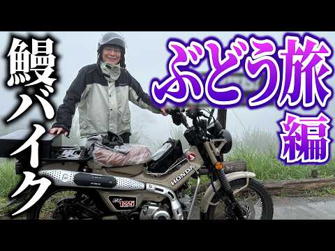 【鰻バイク】東京から最高のぶどうを食べに行くバイク旅!【銀シャリ】