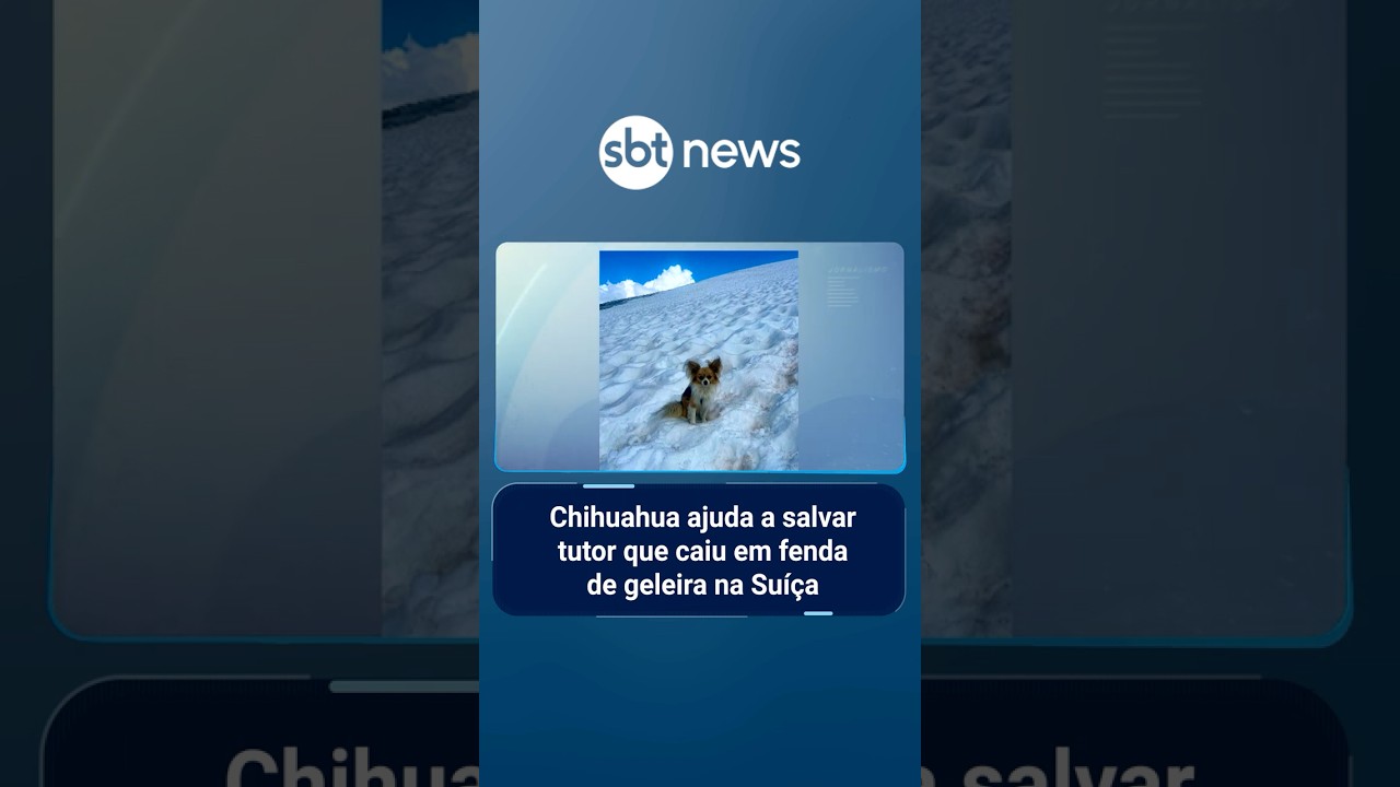 Chihuahua ajuda a salvar tutor que caiu em fenda de geleira na Suíça | SBTManhã