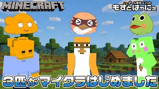 🐤初心者 #マイクラ #05🐸漫画家虹走さんと一緒にマインクラフトはじめました。【#もずとはゃにぇ】