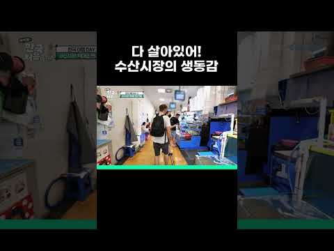 살아있는 생선 가득한 <strong>한국</strong> 수산시장 보고 놀란 <strong>외국인</strong> #MBCevery1클래식 #어서와한국은처음이지
