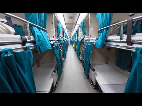 $14 Jungle Sleeper Train