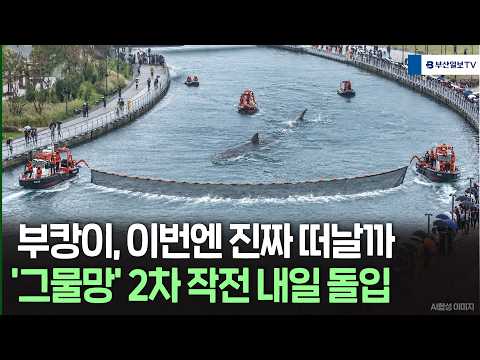 부캉이, 이번엔 <strong>진짜</strong> 떠날까? '그물망' 2차 작전 내일 <strong>돌입</strong>
