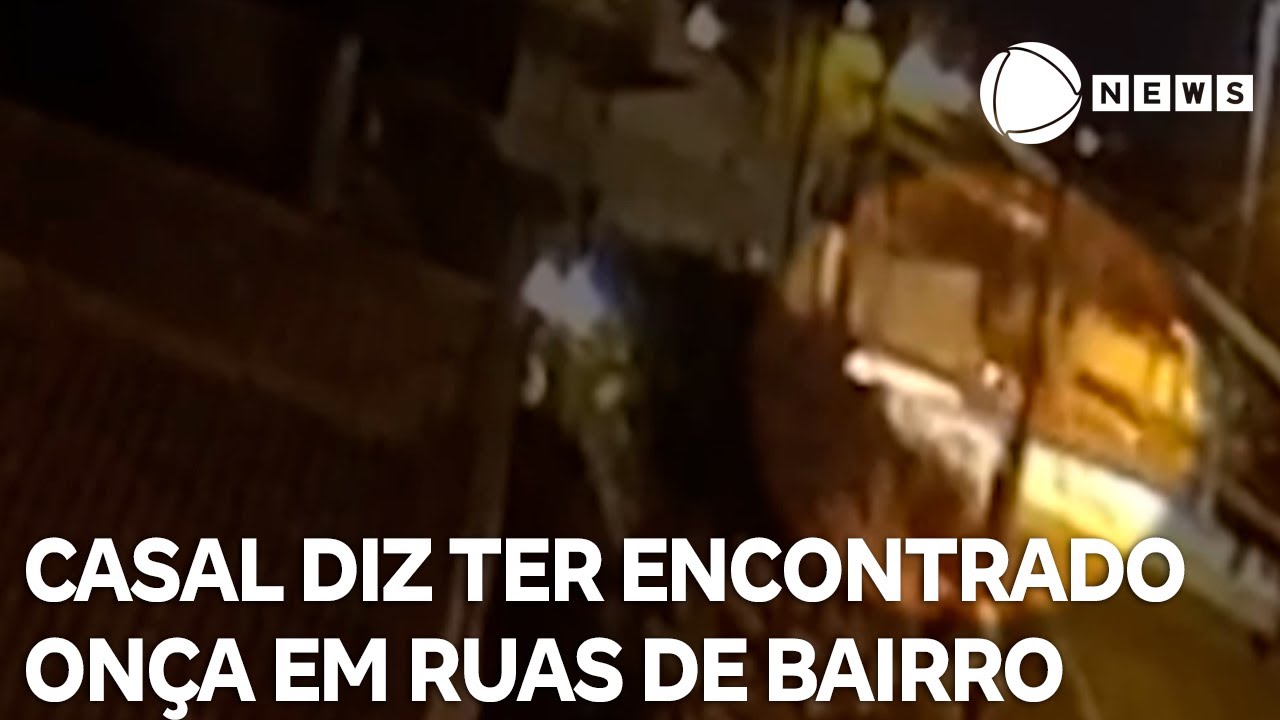Casal diz ter encontrado onça andando pelas ruas de bairro em Jataí