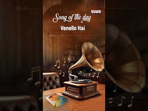 Timeless Telugu Love Classic ❤️ | #VenelloHai Song | #AvunuValiddharuIstapaddaru Movie | #Shorts