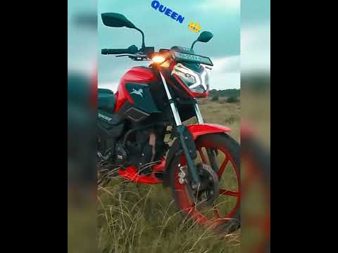 tvs raider status #new #status #queen #horse #viral #raider #subscribe #tvs #funny