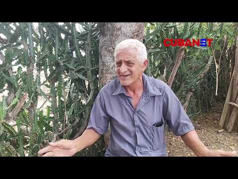 Si me ENCARCELAN me declararé en HUELGA de hambre hasta MORIR: anciano CUBANO advierte al régimen