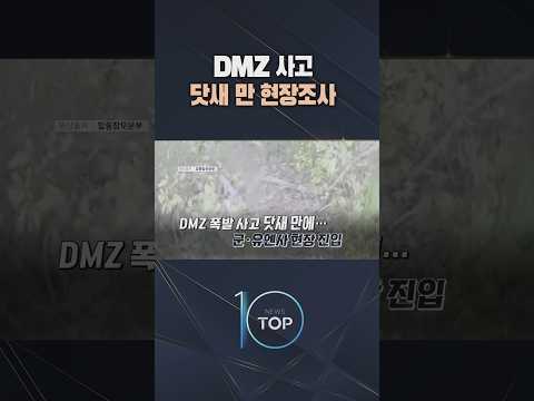 DMZ 사고 <strong>닷새</strong> 만 현장조사 / #채널A #뉴스TOP10 #shorts