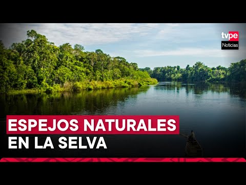Loreto: conoce los espejos naturales de la Reserva Nacional Pacaya Samiria
