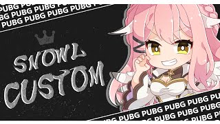 SNOWL CUSTOM【PUBG】すのぉる / Vtuber