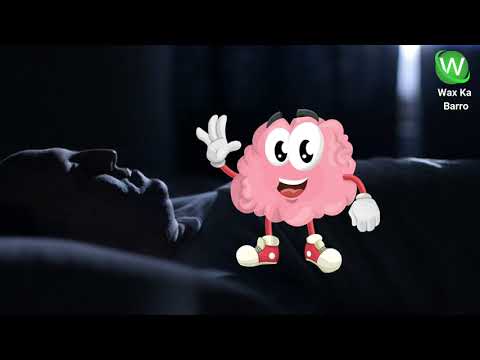 Xeelado Cilmi Nafsi Ah Oo Aad Qofkasta U Isticmaali Karto |