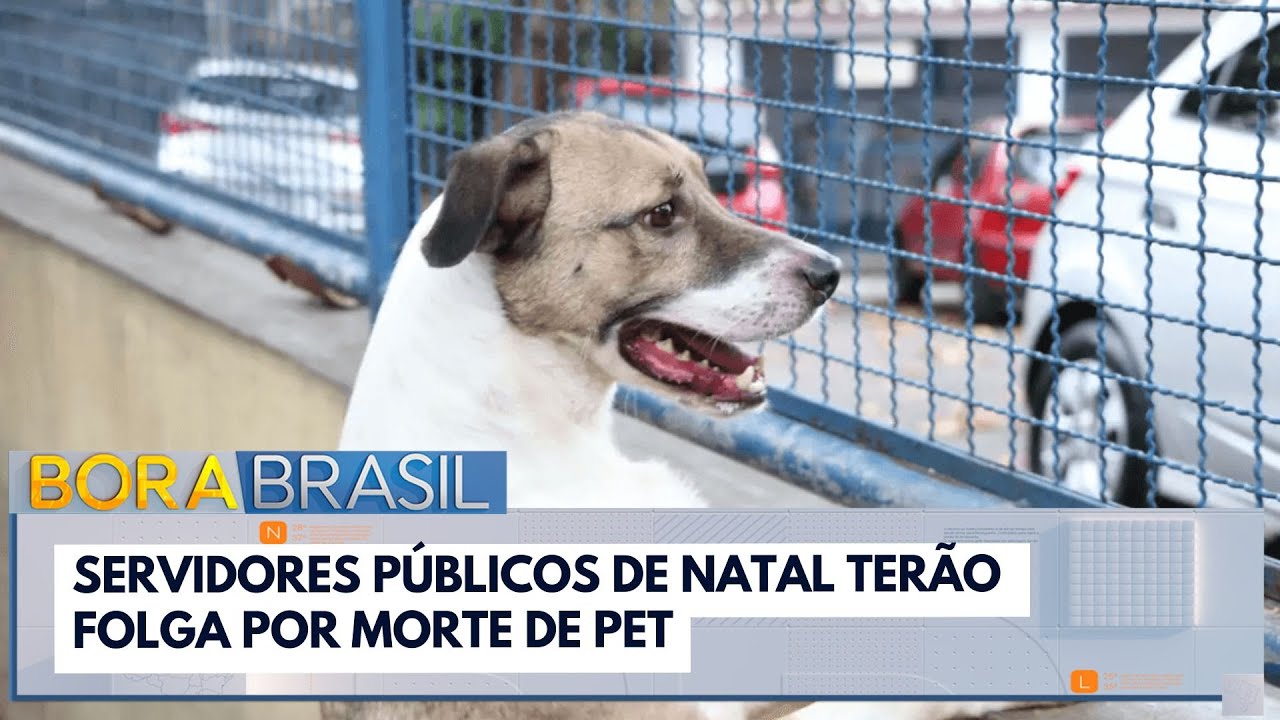 Servidores públicos de Natal terão folga por morte de pet