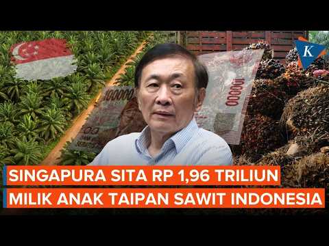 Singapura Sita Rp 1,96 Triliun Dana Anak Taipan Sawit Indonesia, seperti Apa Kasusnya?