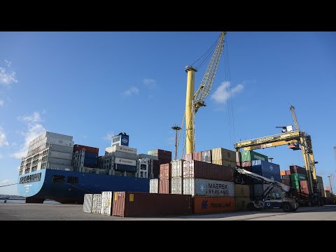 Debate sobre el conflicto portuario tras despido de 150 trabajadores