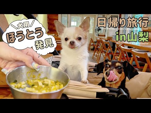 犬と入れるほうとう屋さんが神すぎた
