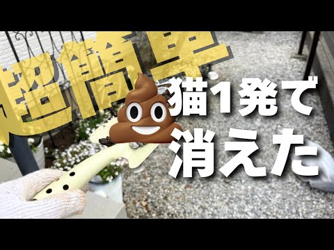 【庭の敵】猫の糞対策には〇〇！超音波と木酢液は辞めとけ