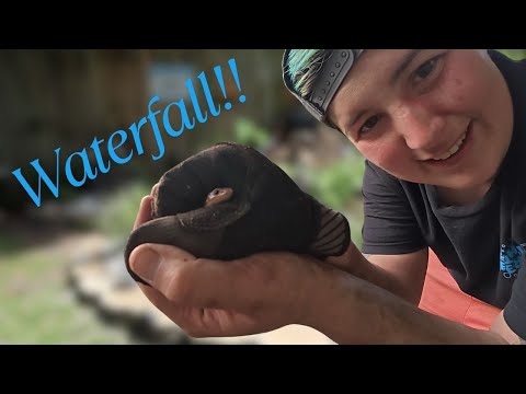 Building a WATERFALL with my DAD Follow along for our first ever pond with a waterfall!

Follow me on the socials!

Instagram_ https_