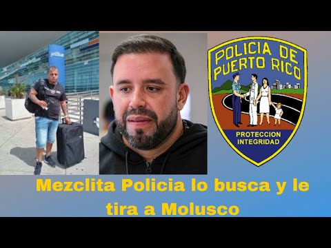 Mezclita la policia lo busca y le manda descarga al Molusco