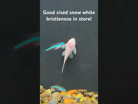 Come stop by and check out all the new fish!