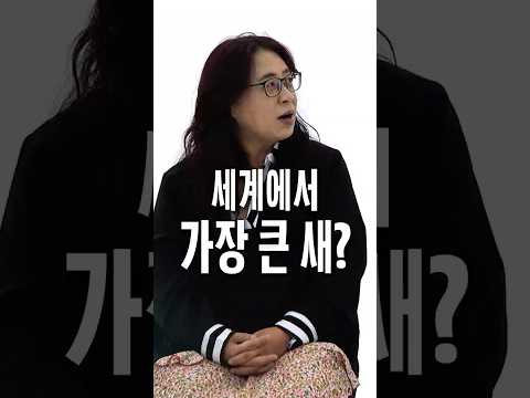 세계에서 가장 큰 새는?