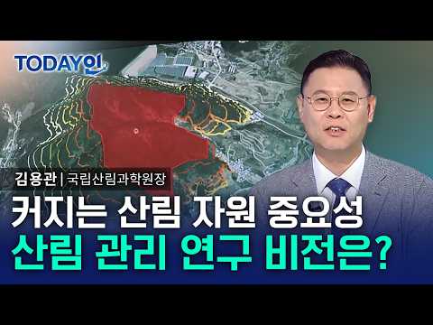 우리나라 국토 70% 산림…산림 자원 관리 어떻게? [TODAY인] / YTN 사이언스