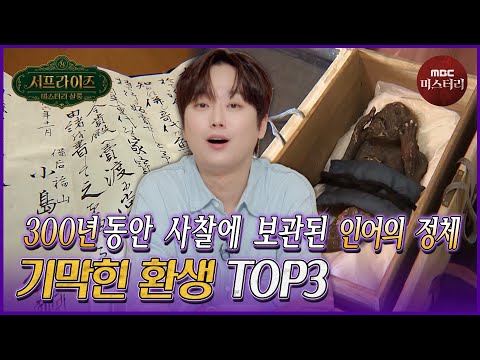 [서프라이즈] 300년 된 인어 미라의 CT 결과 밝혀진 놀라운 사실 MBC 260823 방송 #서프라이즈미스터리살롱