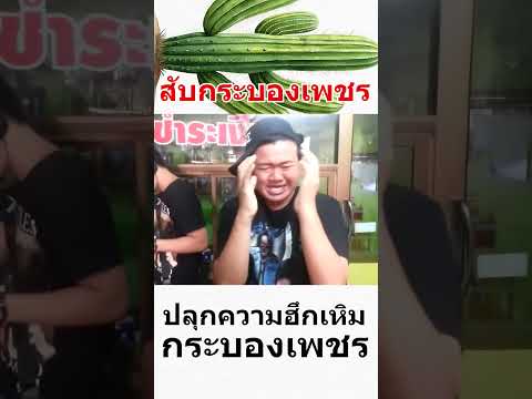 สับกระบองเพชร