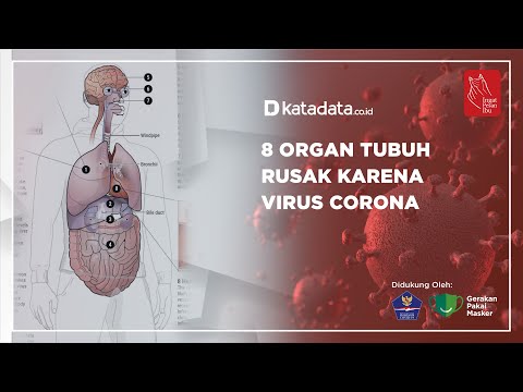 8 Organ Tubuh Rusak karena Virus Corona | Katadata Indonesia
