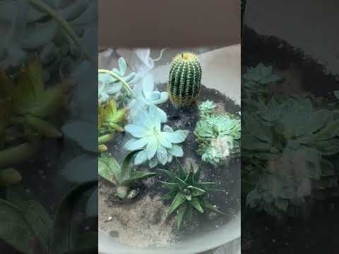 How would you biOrb?