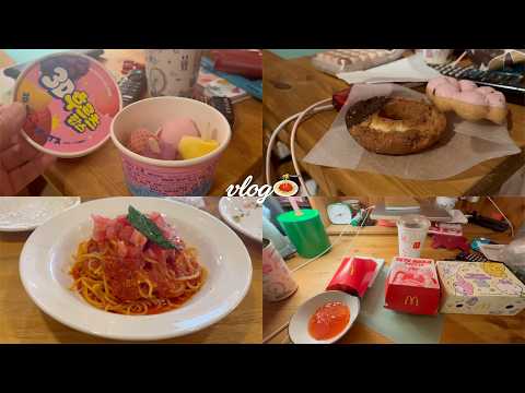 【vlog】ぱんだの日常🍩｜ミスド｜ポポラマーマ｜３Dアイス