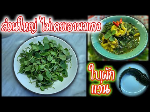 แกง!!-ใบผักแว่น-น้อยคนที่จะเคย แกง!!-ใบผักแว่น-น้อยคนที่จะเคย