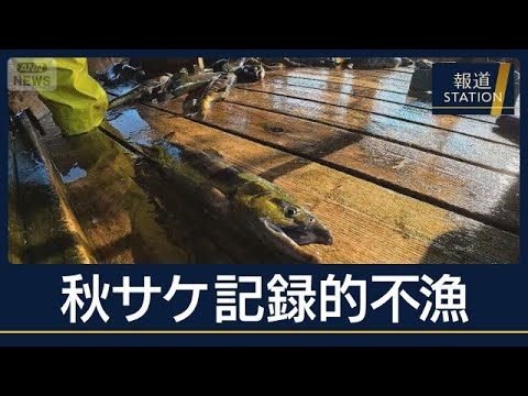 “倉庫が閑散”新巻鮭の価格4倍も…秋サケ高騰“記録的不漁”ここ30年で最悪水準【報道ステーション】(2026年10月9日)