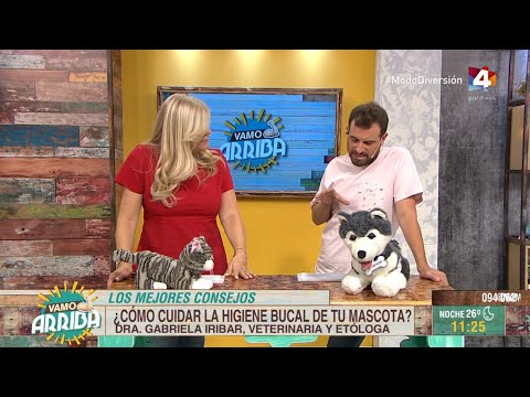 Vamo Arriba - Todo sobre higiene bucal en mascotas: Los mejores consejos de Gabriela Iribar