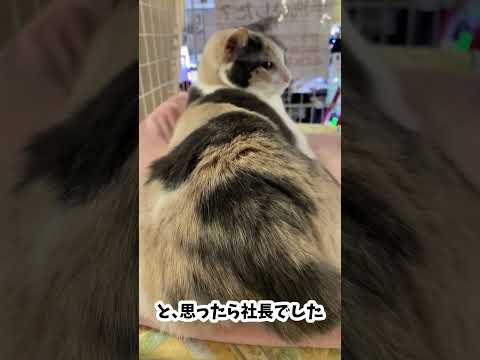 thumbnail_eHzHguu_qnY