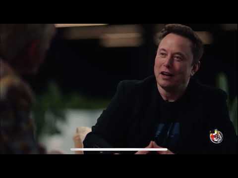 Jordan Peterson Elon Musk Carnivore Diet Clip